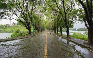 BEAT365官网众志成城全力防抗强台风“山竹”