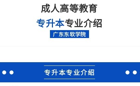 2024年成人高等教育专业介绍 | 专升本 专业介绍