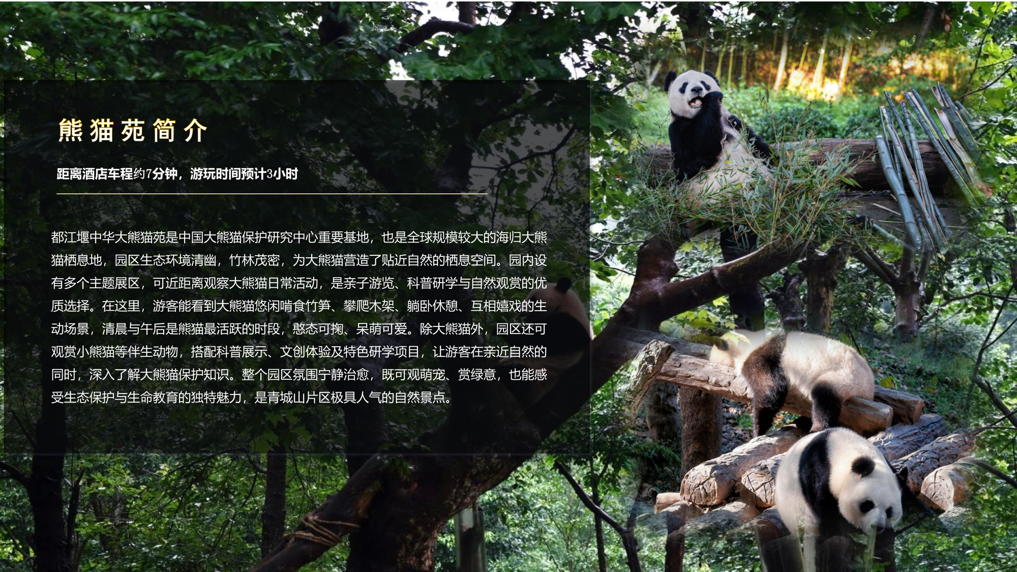 07fc7a3811714a8abb56056e839caf21.png