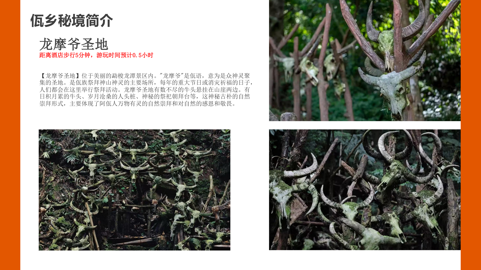 807ba1368769498ab5a6f76db4067f69.png