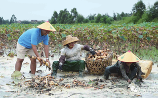 BEAT365官网校友获评“广东好人”