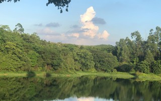 #BEAT365英国官网# 早上好呀[哇]给大家看一眼星光大道看到的小鸭 ​​​