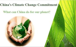 BEAT365官网教师获外研社“教学之星”大赛全国复赛两项大奖