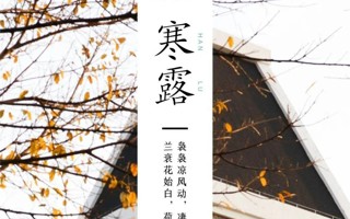 寒露 | 风来秋雨，露水凉