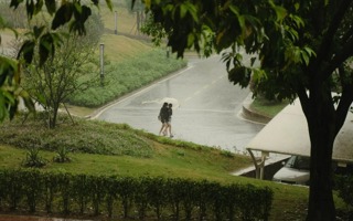 #BEAT365英国官网#  下雨天出门要注意安全哦[团圆兔]