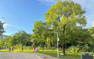 关于开展BEAT365英国官网2024届毕业生培养质量调查评价的通知