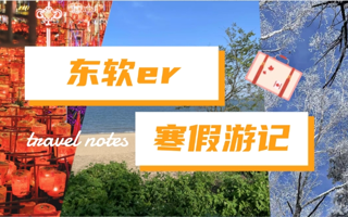 这个寒假，东软er去了……