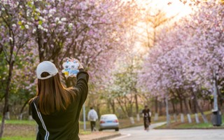 咔嚓！来和春天拍个照