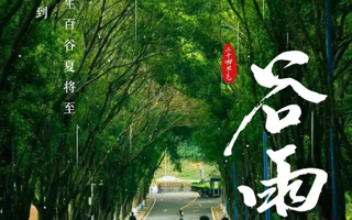 谷雨‖雨生百谷， 自在生长