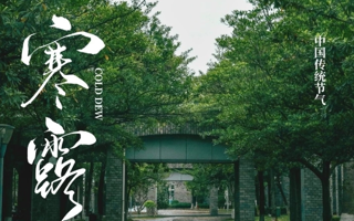 寒露｜寒生露凝，秋意渐浓