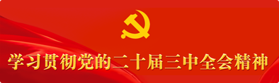 学习贯彻党的二十届三中全会精神