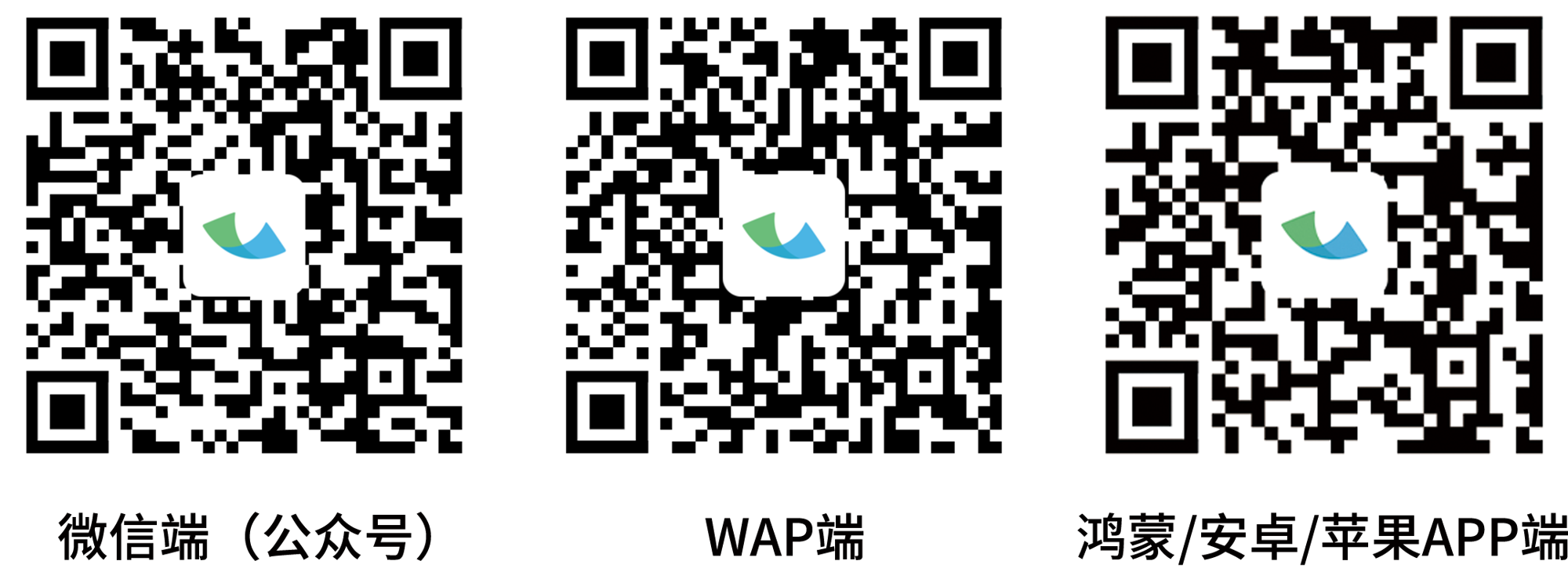 944c4f668c6648e28cdf594ca22ae3e8.png